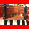 DSCF0977.JPG