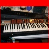 DSCF0979.JPG