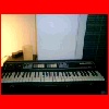 CIMG0024.jpg