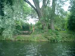CIMG0090