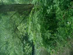 CIMG0113