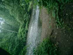 CIMG0115