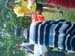 CIMG0101